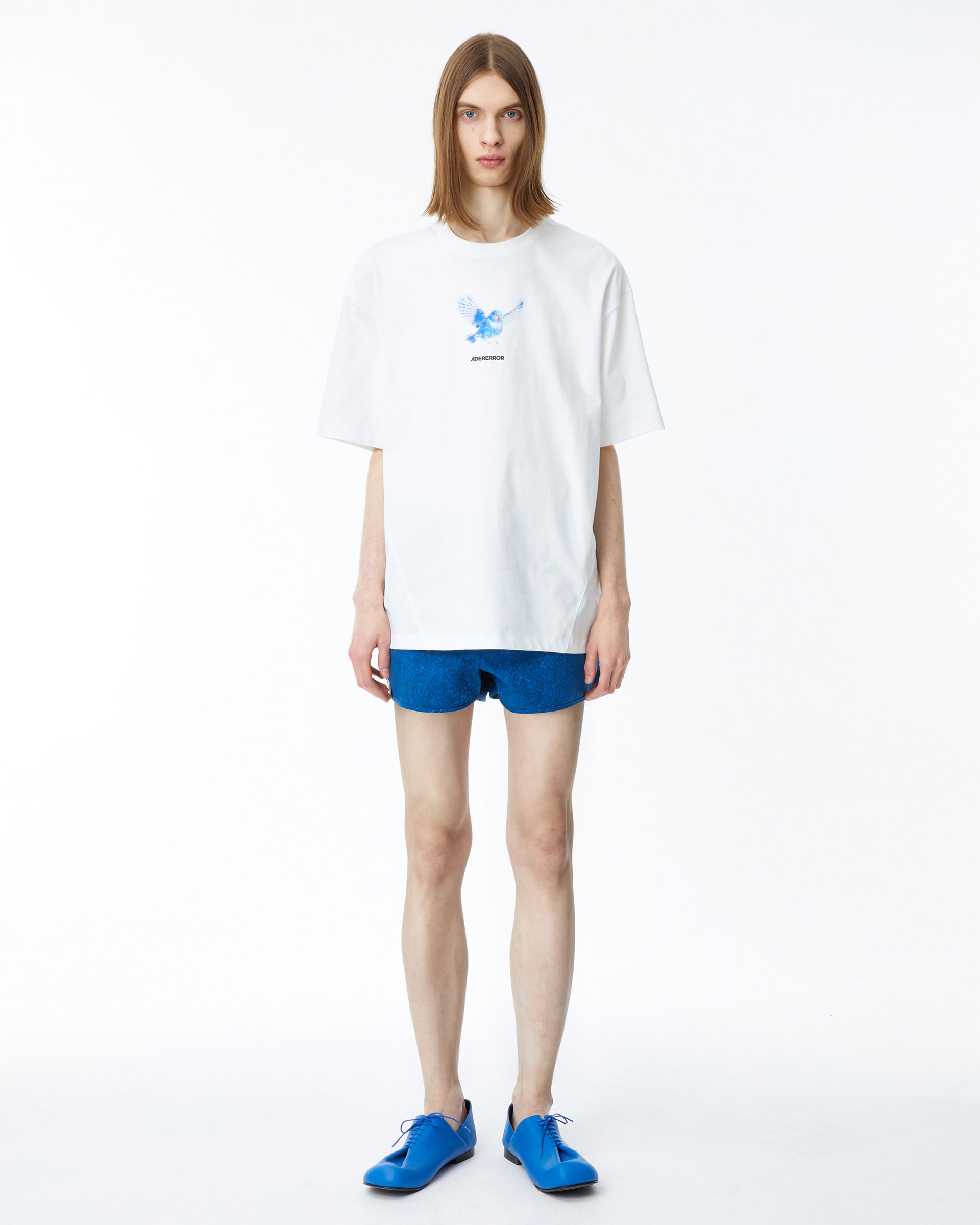 BlueBirdT-shirt_img1