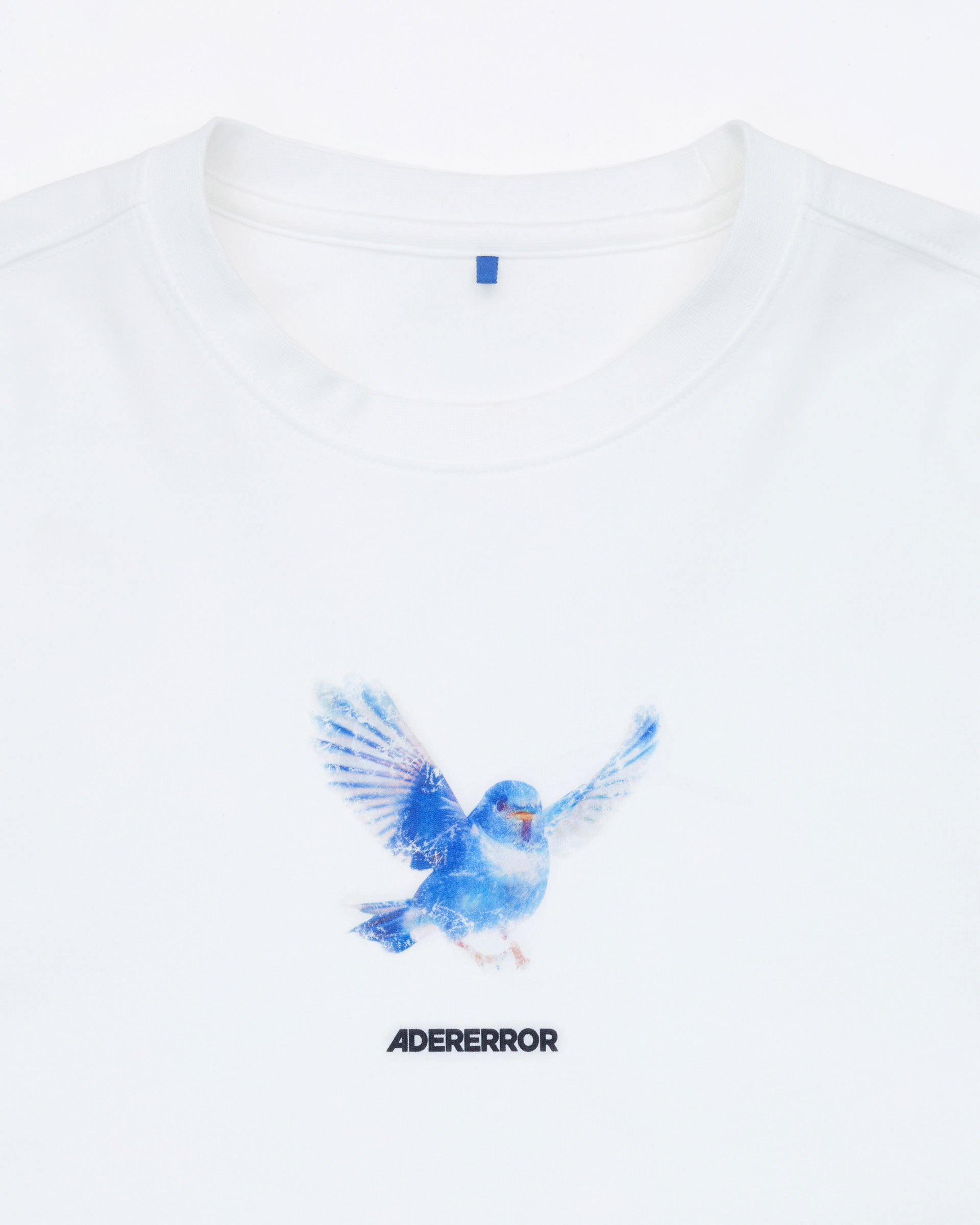 BlueBirdT-shirt_img4